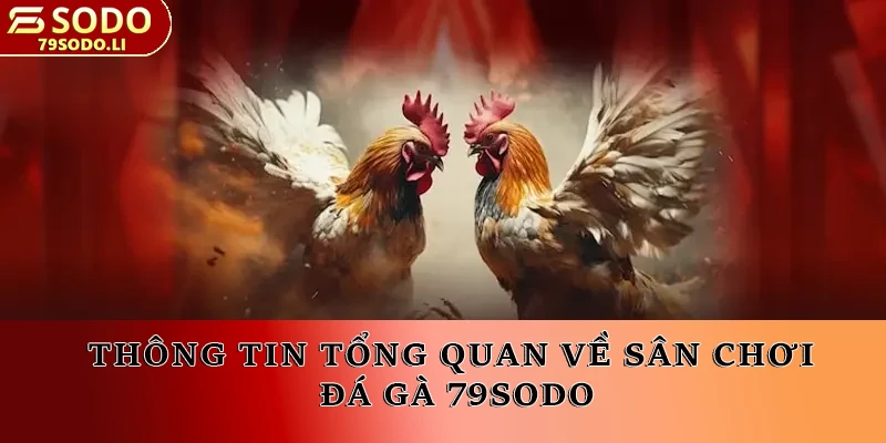 2 sảnh đá gà trực tuyến hot nhất của nhà cái 79SODO